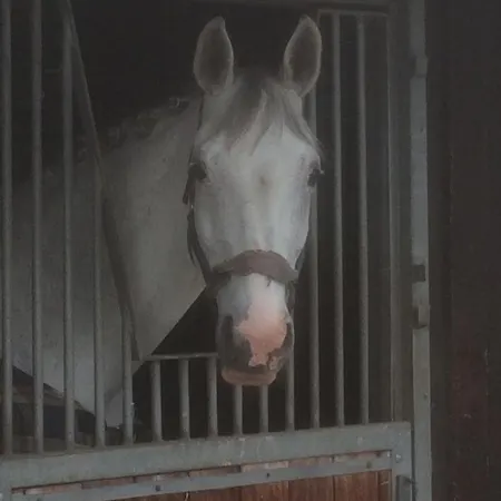 Chalet Haus Mexiko Wilkendorf